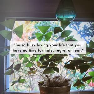 Meet your Posher, Jill